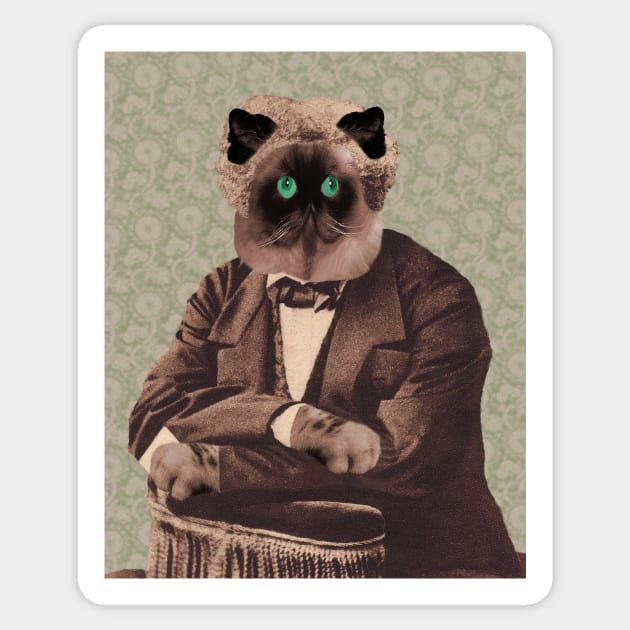 Alexander Dumas as Persian Tabby Cat Sticker by Loveday101